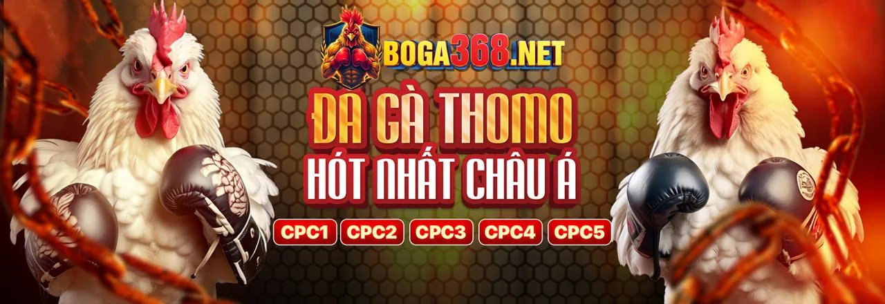 Sân chơi đá gà trực tuyến zb368 Nổ Hũ 2026