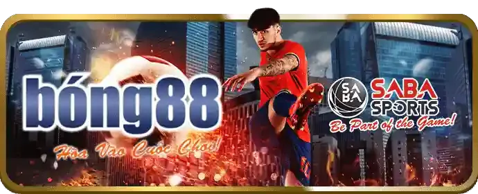 Hoàn trả tiền cược cao hơn